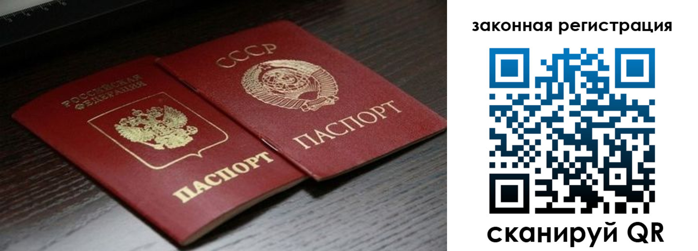 прописка поиск в Солнечногорске